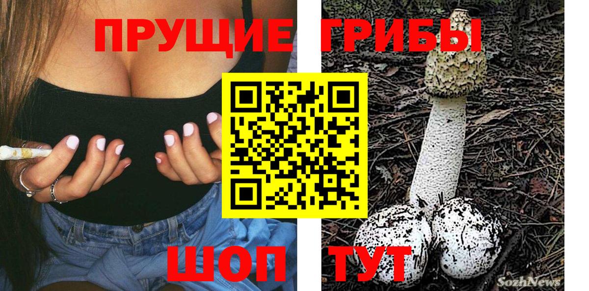 Галлюциногенные грибы мухоморы Ковров