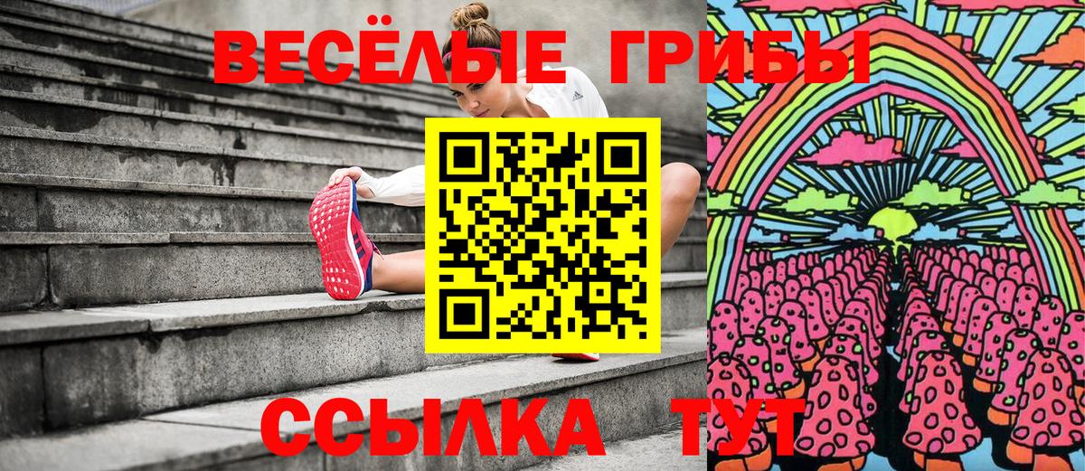 Ковров  Галлюциногенные грибы прущие грибы  Вход с VPN  Галлюциногенные грибы Magic Shrooms 
